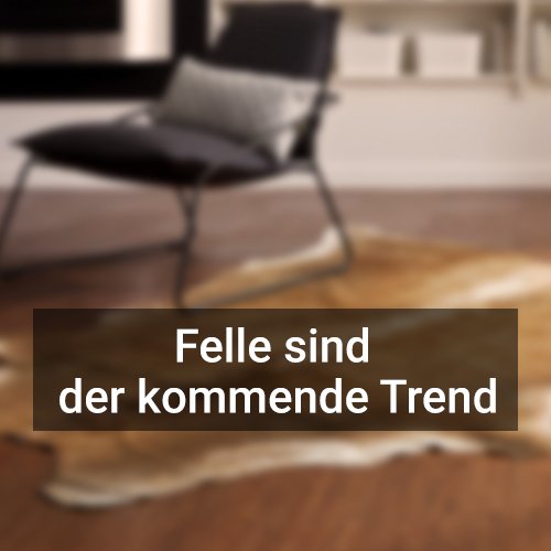 Teppich Service Zurbruggen De