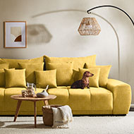 Dopamine Decor