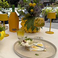 Lemon Days Lemon Days