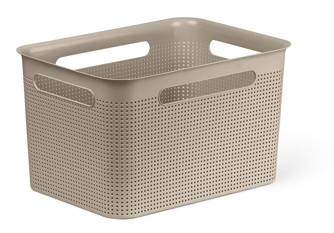 rotho Box BRISEN