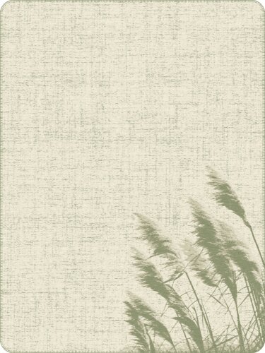 IBENA Decke, beige, Baumwolle Image