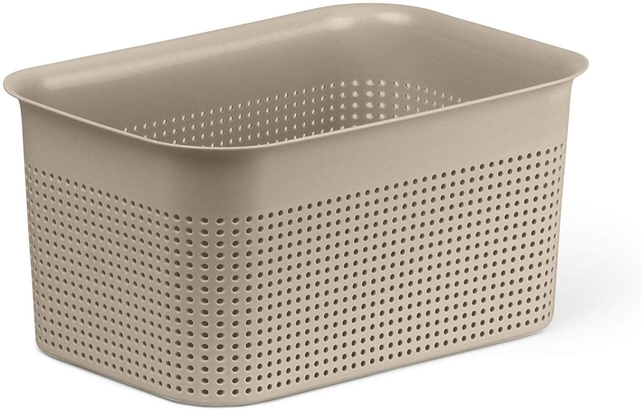 rotho Box BRISEN